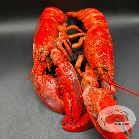 "Baby Boil" Cooked Frozen Lobster 10LB Case