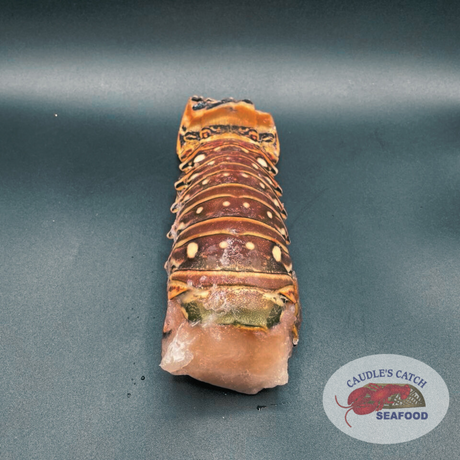 Lobster Tails Caribbean Rock  (Various Sizes @ $47.99/lb)