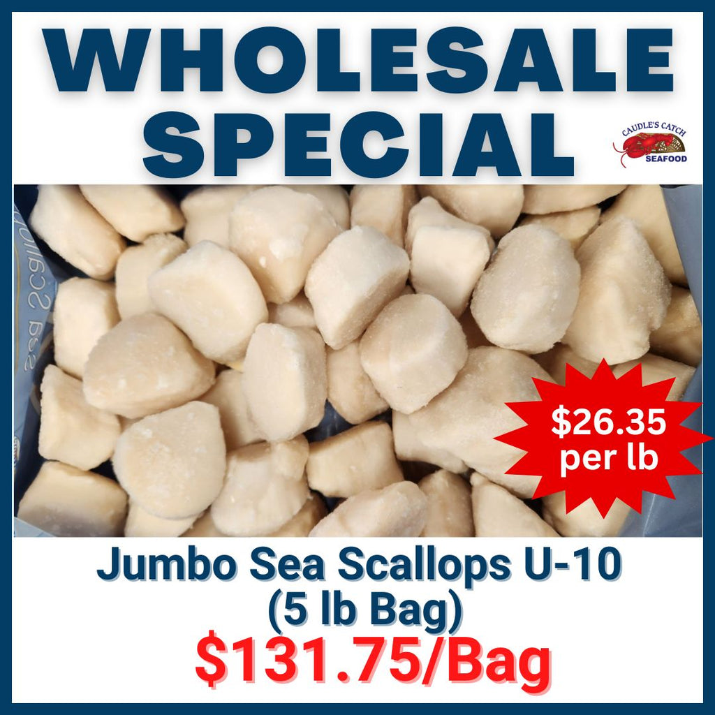 Wholesale Special: Frozen Jumbo Sea Scallops U-10ct (5 lb bag)
