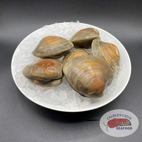 Cherrystone Clams