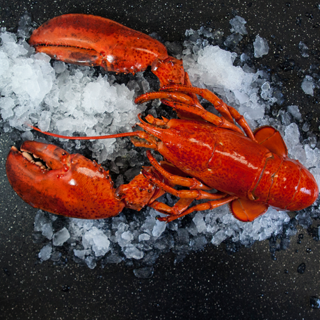 Lobster Cooked Canadian Atlantic "Chix" (1.12 lb avg. @ $16.99/lb)