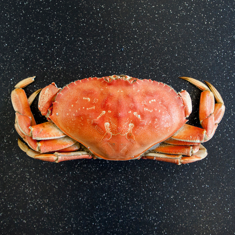 Whole Dungeness Crab