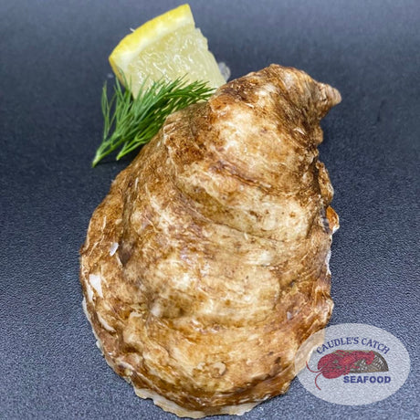 Fresh Irish Point Oysters