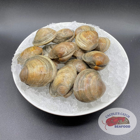 Fresh Littleneck Clams