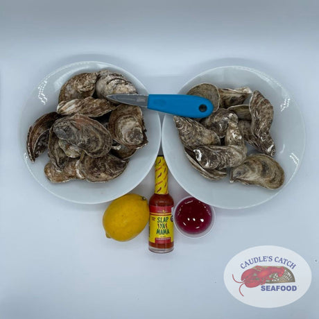 Oyster Party Kit