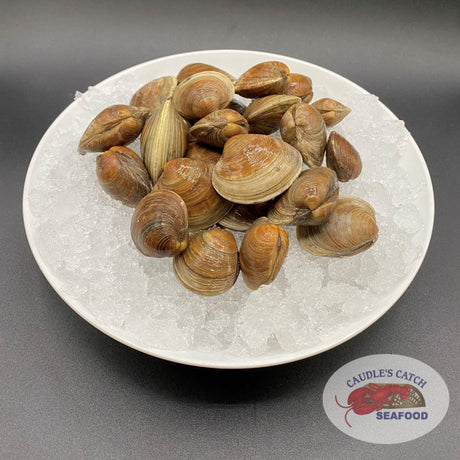 Fresh Pasta Clams