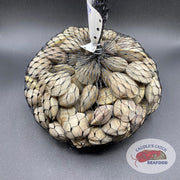 Fresh Pasta Clams