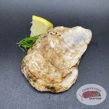 Fresh Raspberry Point Oysters
