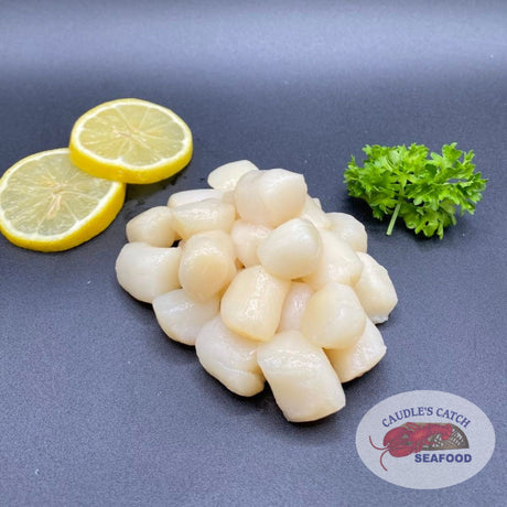 Fresh Bay Scallops