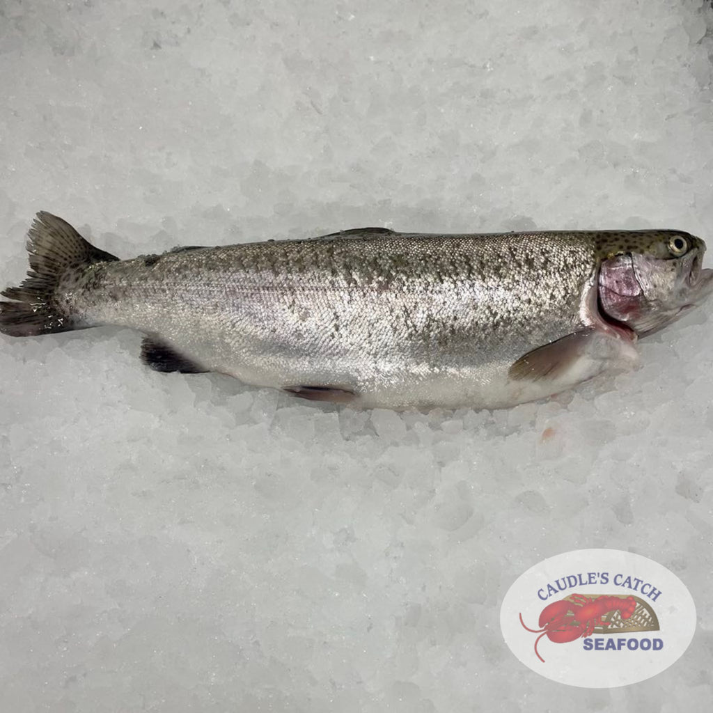 Fresh Whole Rainbow Trout  (1.15 lbs Minimum @ $9.99/lb)