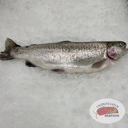 Fresh Whole Rainbow Trout  (1.15 lbs Minimum @ $9.99/lb)