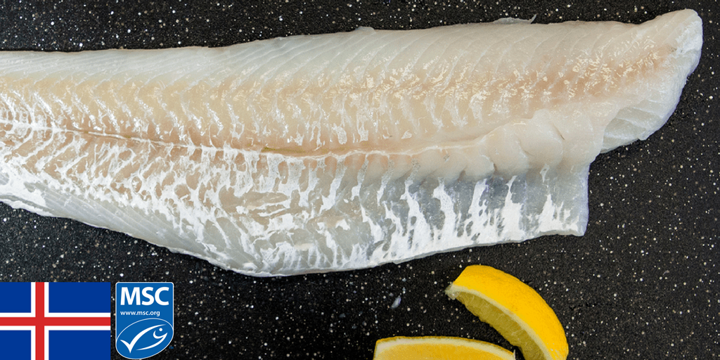 Feature Fish: Fresh Icelandic Cod Fillets