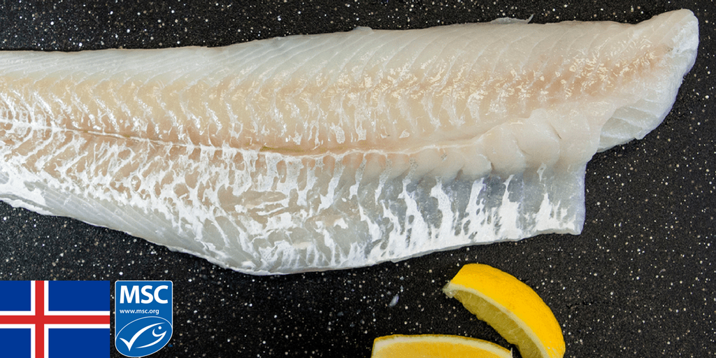 Feature Fish: Fresh Icelandic Cod Fillets | Caudle's Catch Seafood