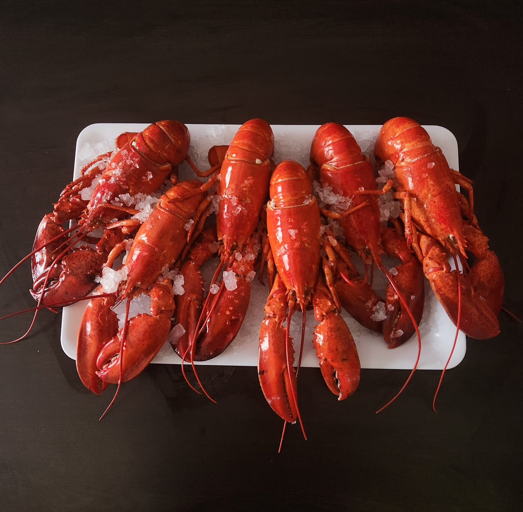 Lobster Six Pack (Cooked)