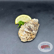 Fresh Blackberry Point Oysters