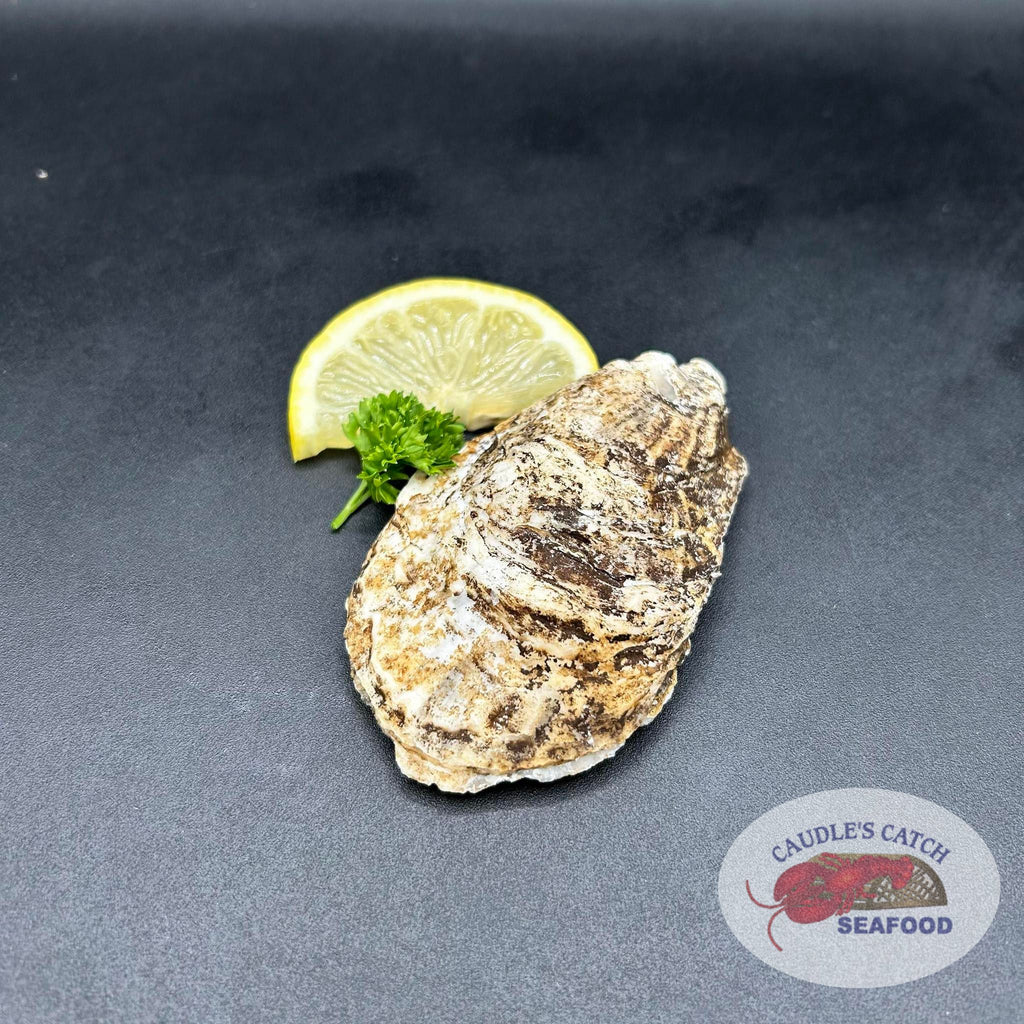 Fresh Gooseberry Bay Oysters