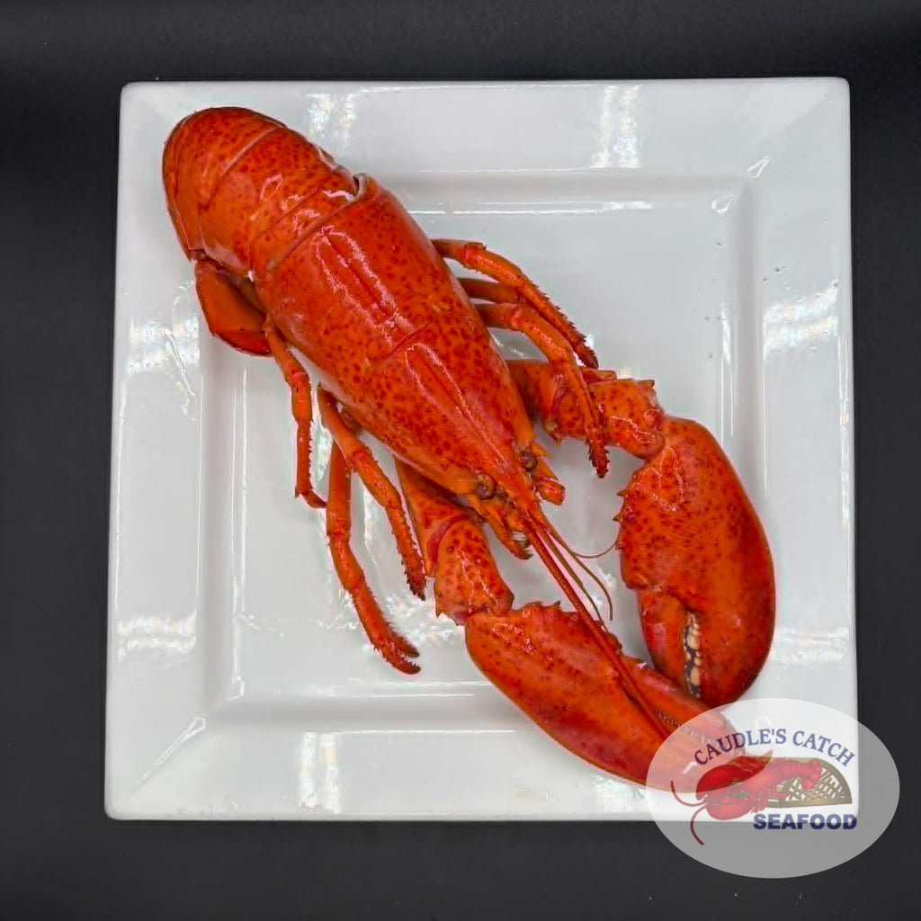 Lobster Cooked Canadian Atlantic "Chix" (1.12 lb avg. @ $16.99/lb)