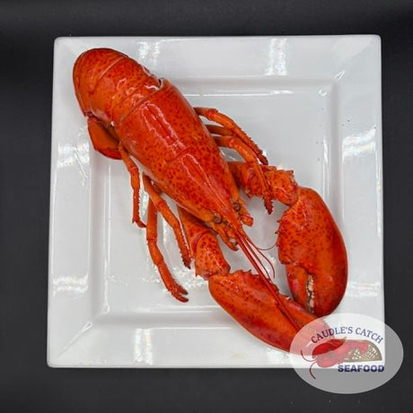 Lobster Cooked Canadian Atlantic "Chix" (1.12 lb avg. @ $16.99/lb)