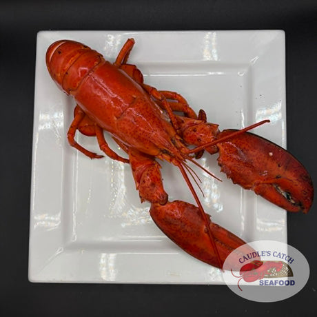 Lobster Cooked Canadian Atlantic "Halves" (1.61 lb avg. Live Weight @ $19.99/lb)