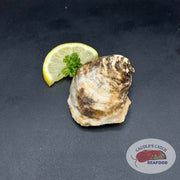 Fresh Conway Cup Oysters