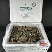 Fresh "Bluefoot" White Shrimp