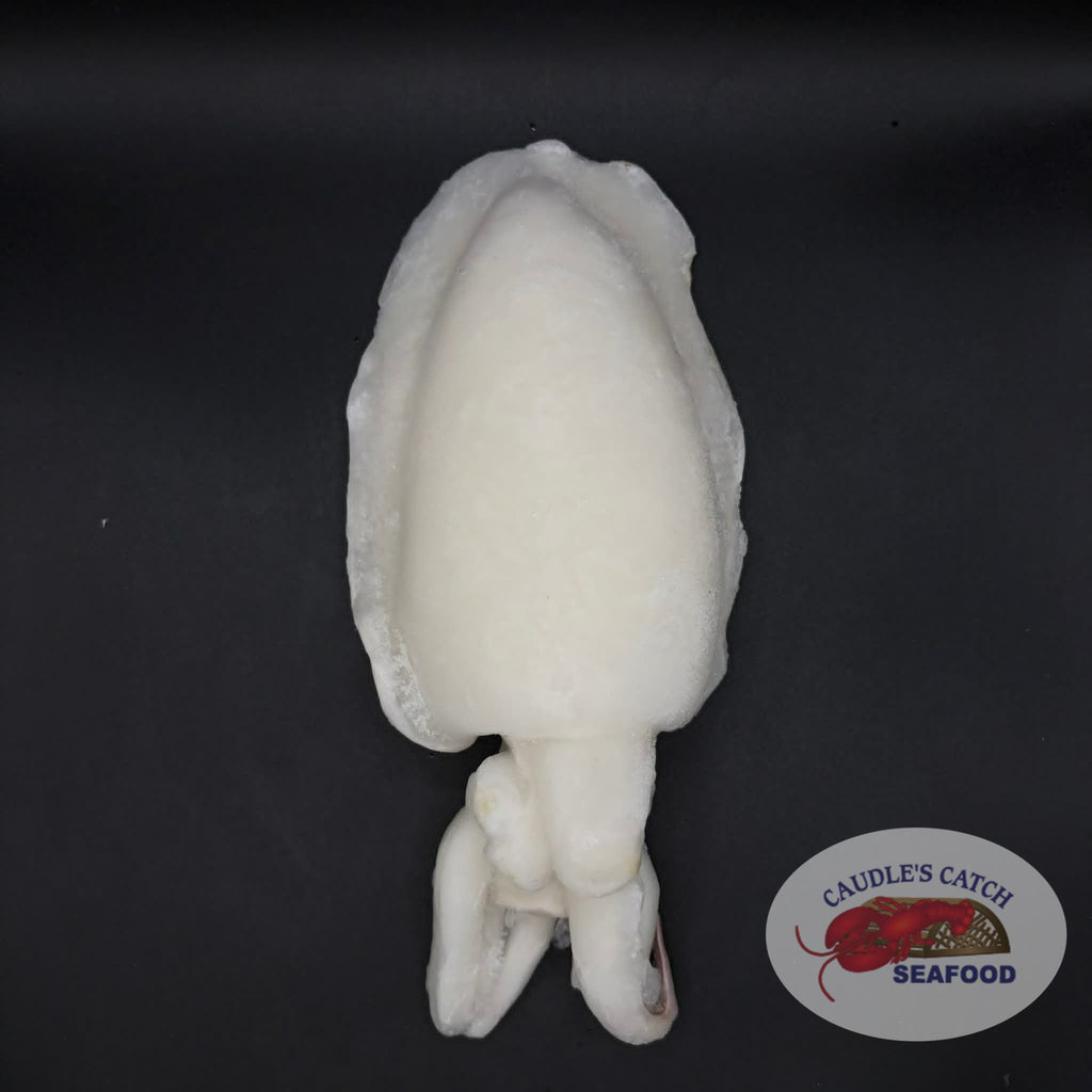 Whole Cleaned Jumbo Cuttlefish