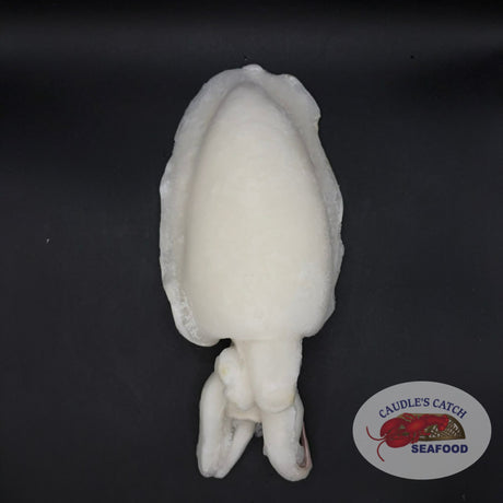 Whole Cleaned Jumbo Cuttlefish