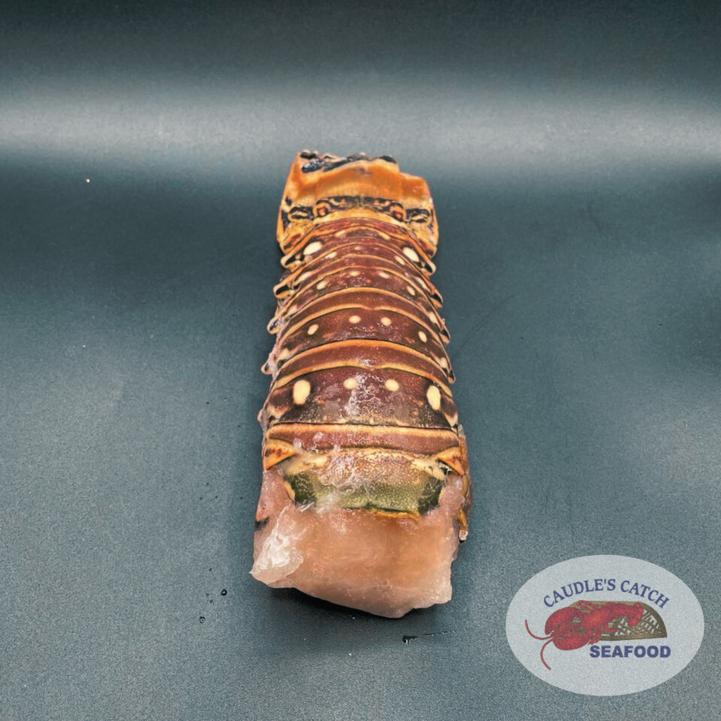 Lobster Tails Caribbean Rock  (Various Sizes @ $39.99/lb)