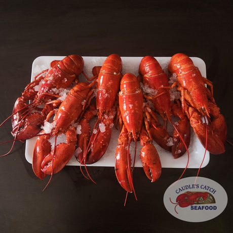 Lobster Six Pack (Cooked)