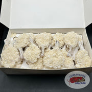 Breaded Butterfly Shrimp Ocean Jewel 908g Box