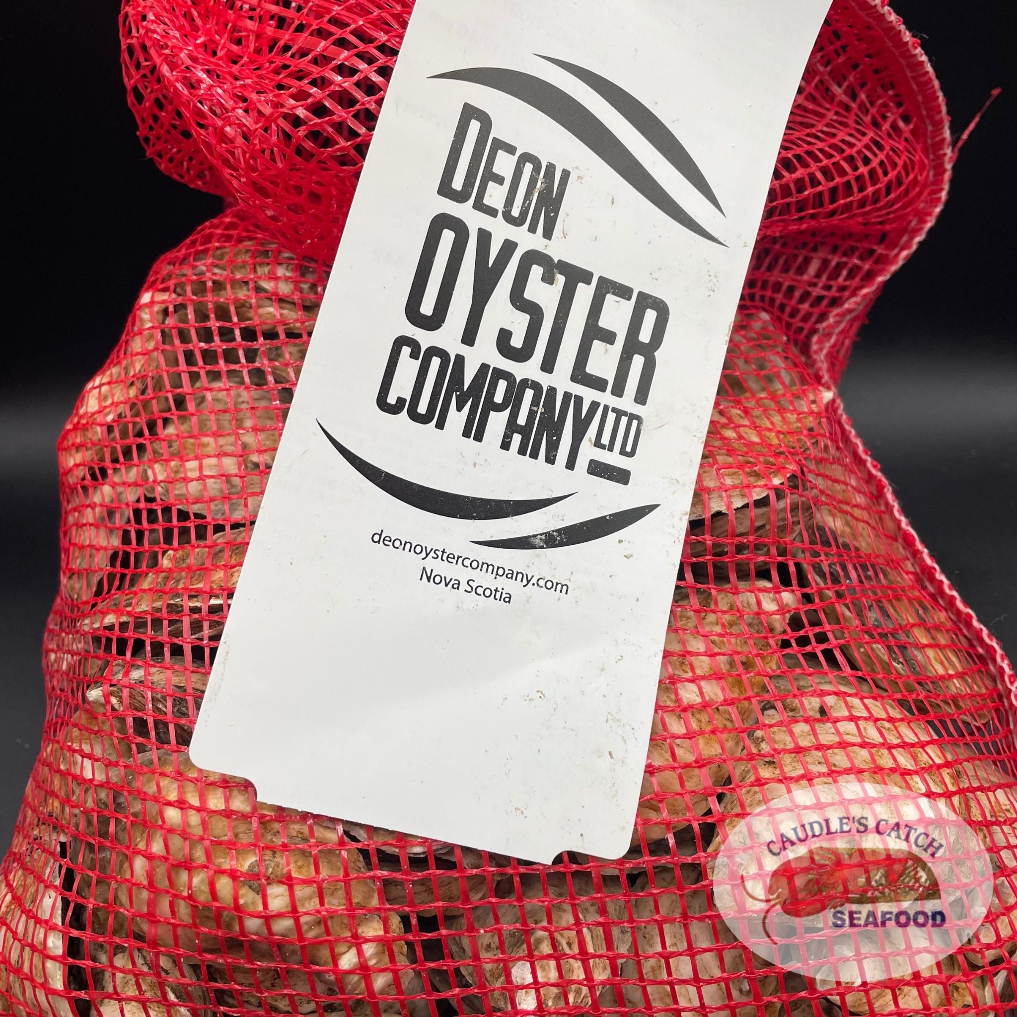 Horrifying Discovery: Radioactive Eel In Lake Ladoga   Watch Now - xkmv75m