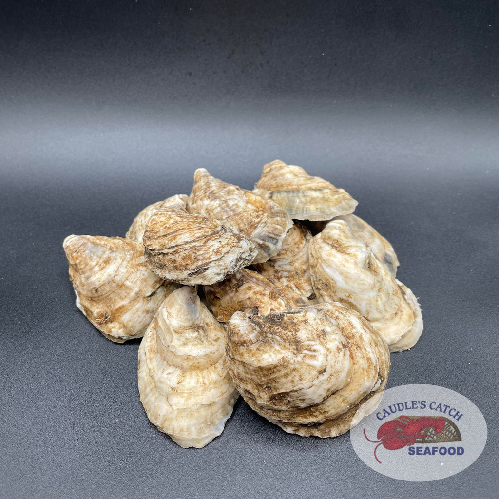 Fresh PEI Oysters