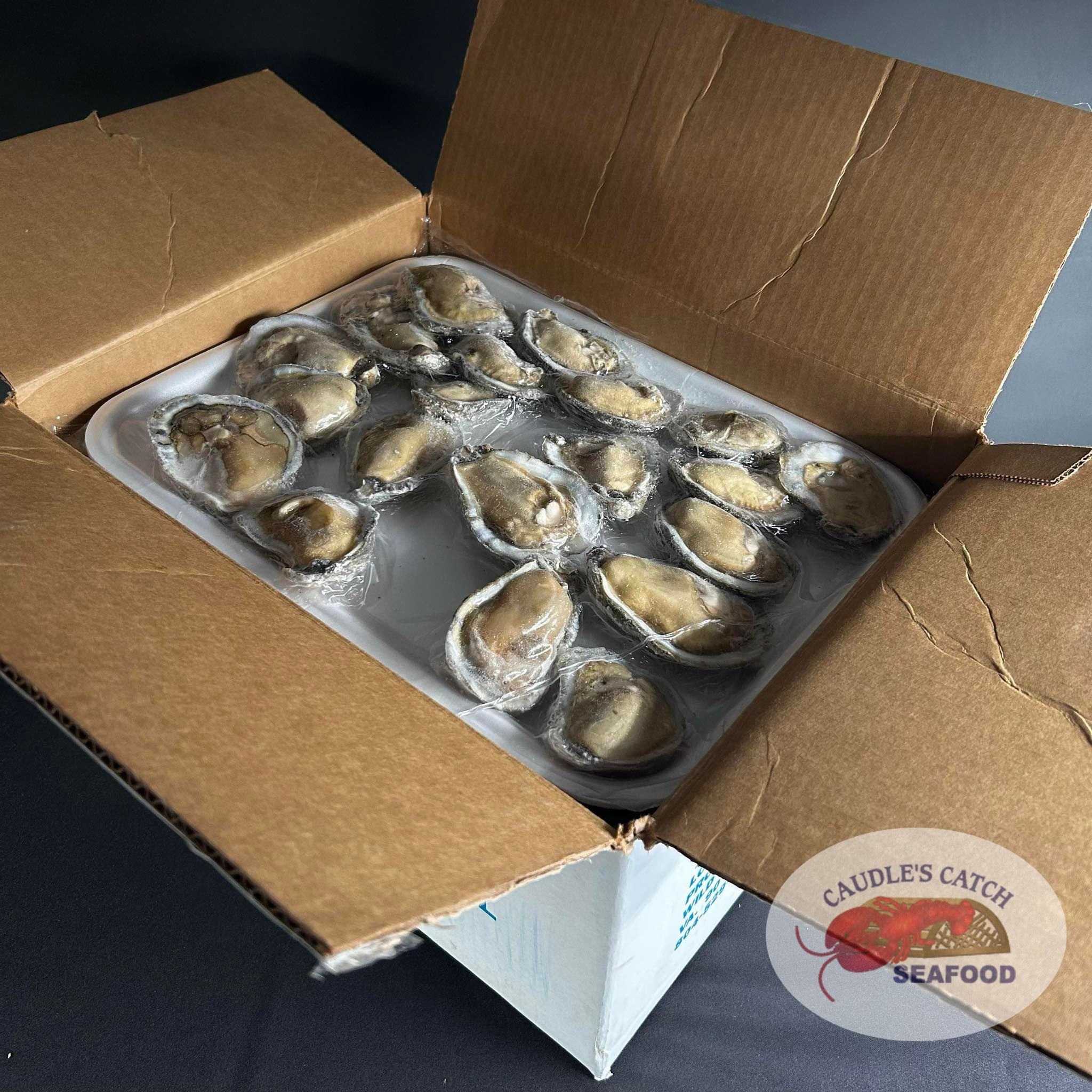 Chesapeake Pride Oysters on the Half Shell | Caudle's Catch Seafood