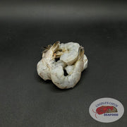 Raw White Pacific Shrimp (Peeled & Deveined)