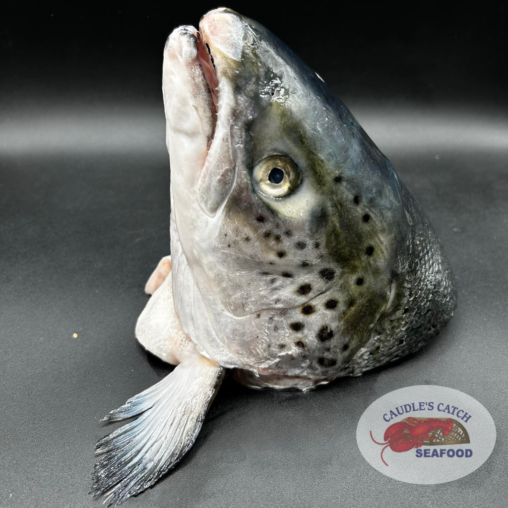 Frozen Atlantic Salmon Heads