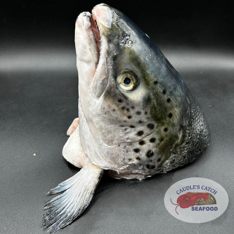 Frozen Atlantic Salmon Heads