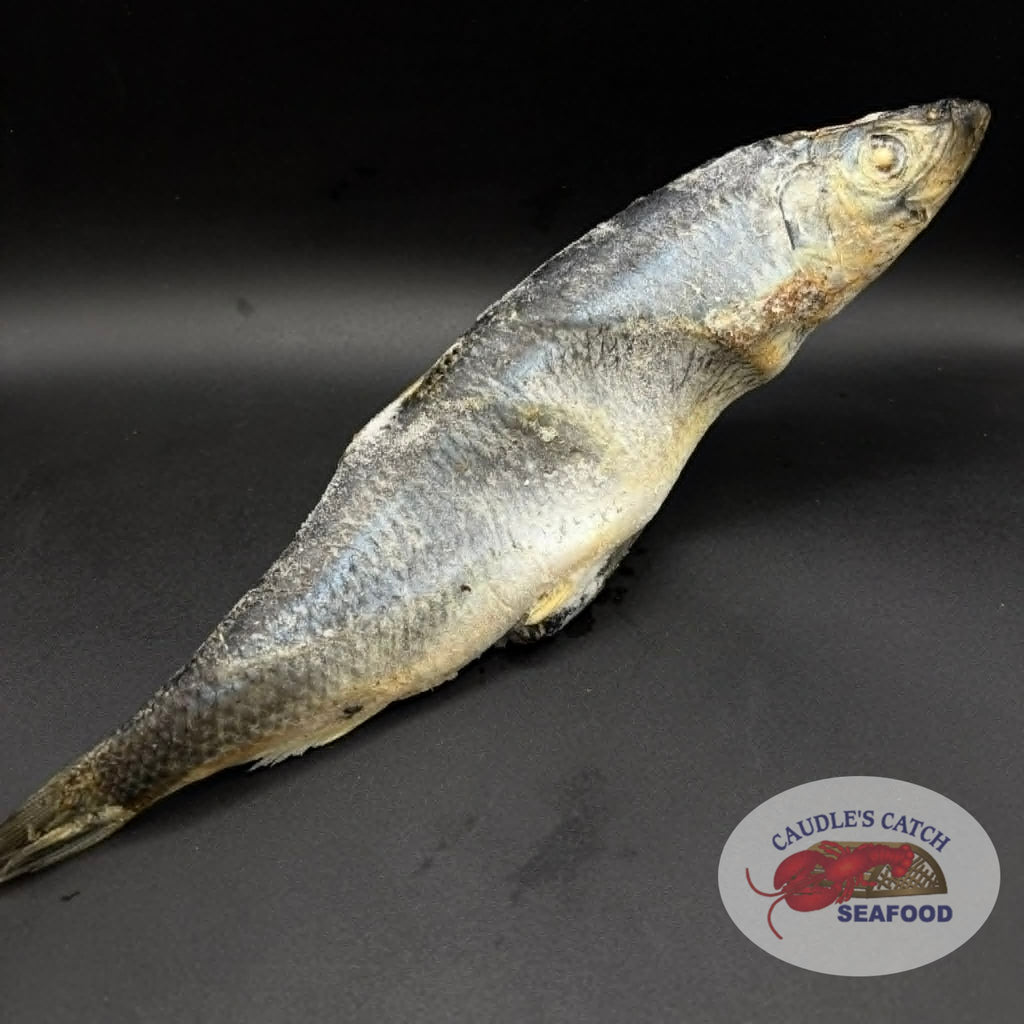 Whole Atlantic Herring