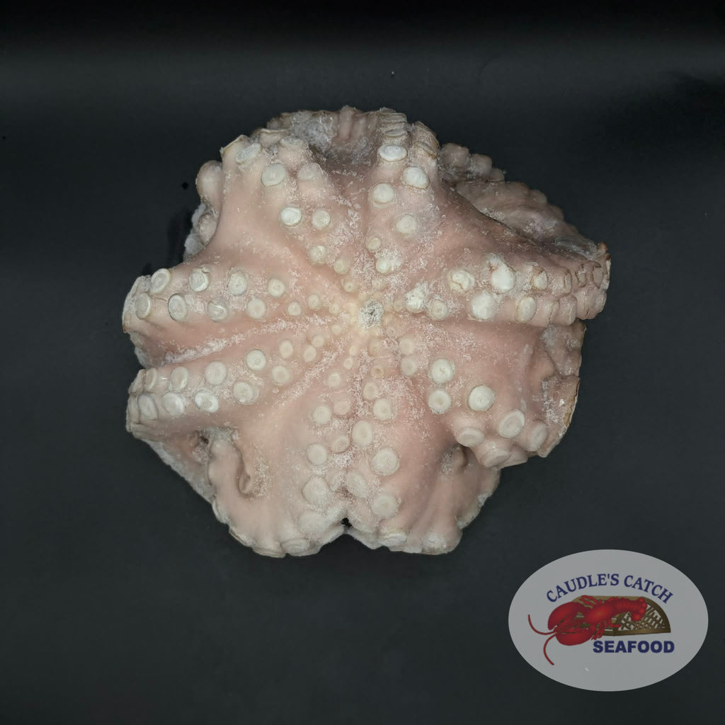 Cleaned Whole Octopus (Various Sizes)