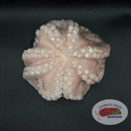 Cleaned Whole Octopus (Various Sizes)