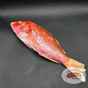 Frozen Whole Red Snapper