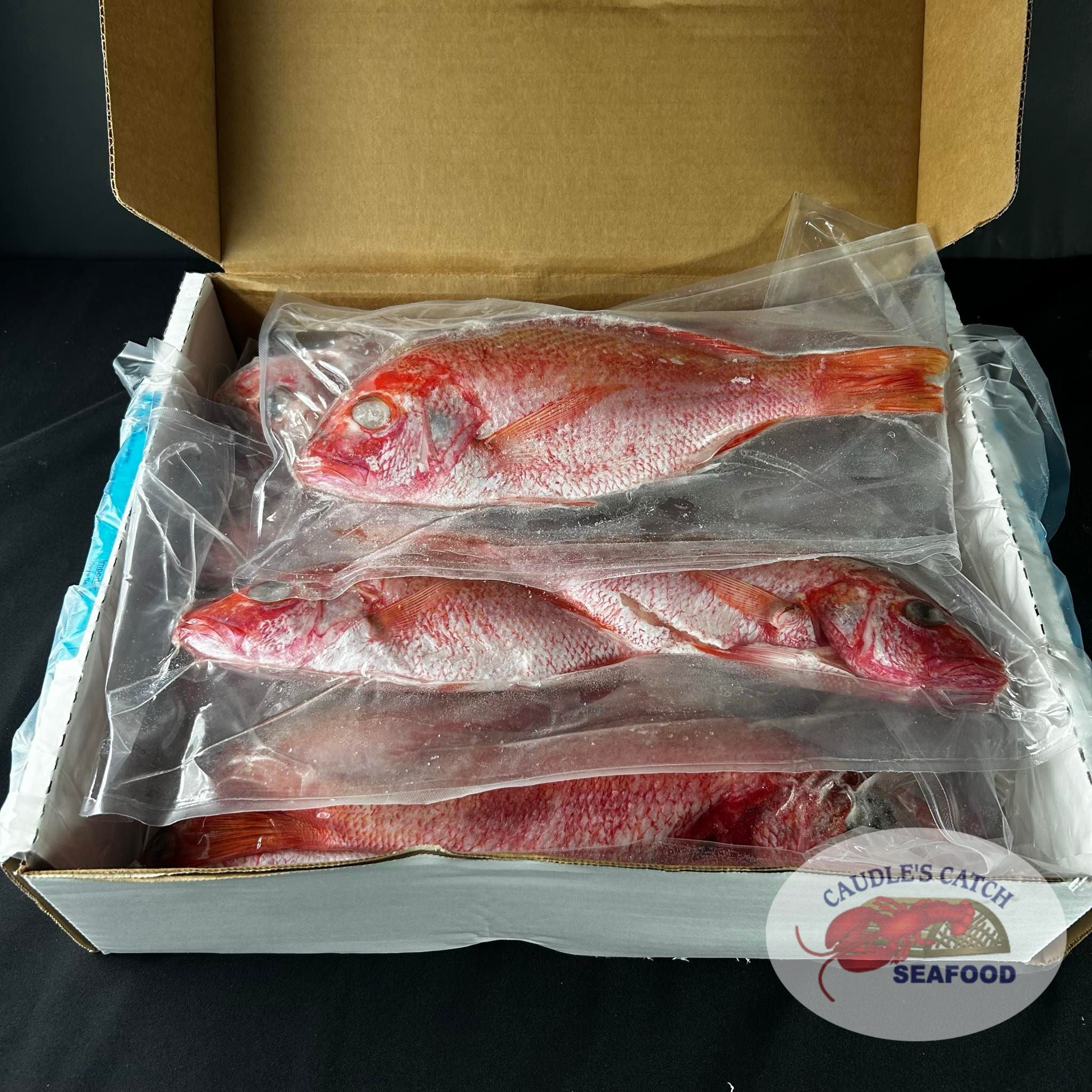 Frozen Whole Red Snapper | Caudle's Catch Seafood