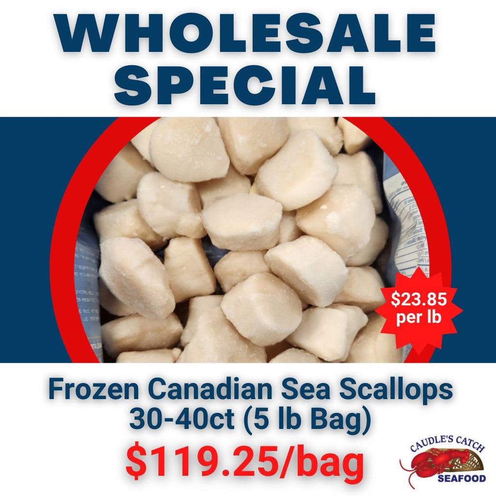 Wholesale Special: Frozen Canadian Sea Scallops 30-40ct (5 lb Bag)