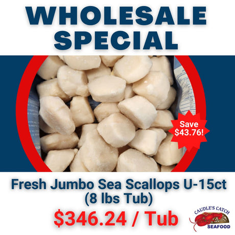 Wholesale Special: Fresh Jumbo Sea Scallops U-15ct (8 lb Tub)