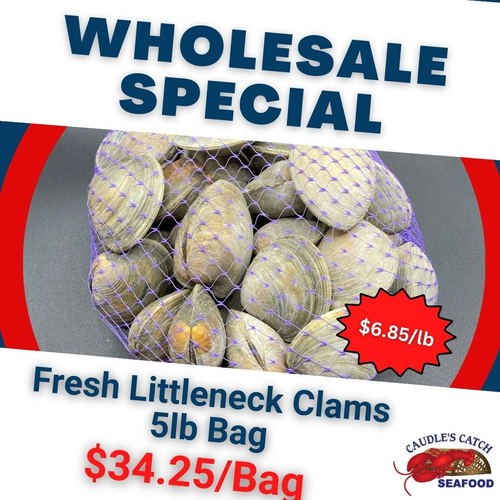 Wholesale Special: Fresh Littleneck Clams (5lb bag)