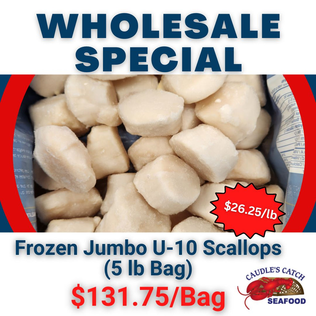 Wholesale Special: Frozen Jumbo Sea Scallops U-10 (5lb bag)