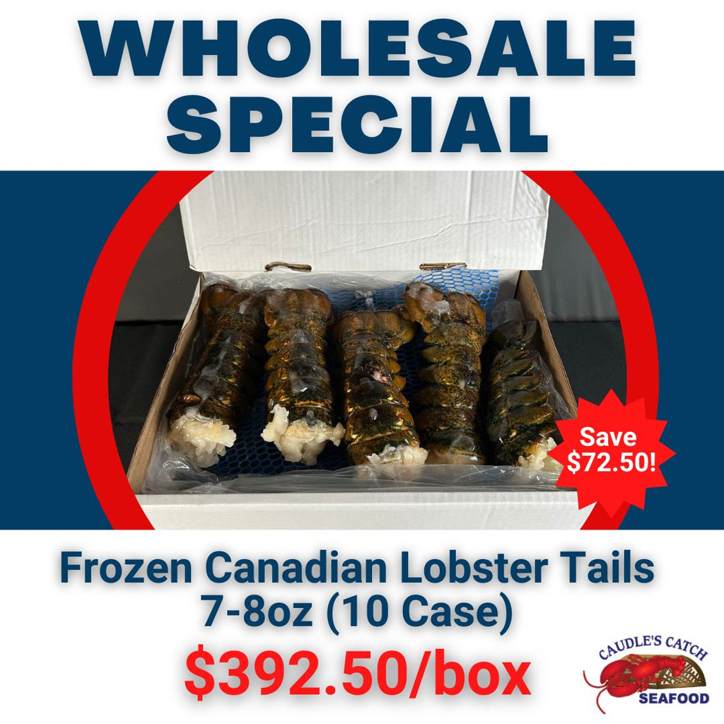 Wholesale Special: Fresh Irish Point Oysters (100ct Case)
