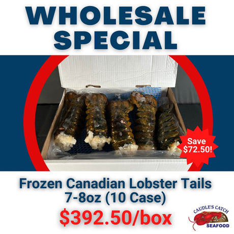 Wholesale Special: Fresh Irish Point Oysters (100ct Case)