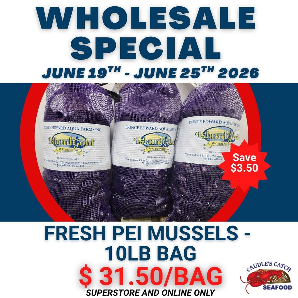 Wholesale Special: Fresh Mussels - 10LB Bag