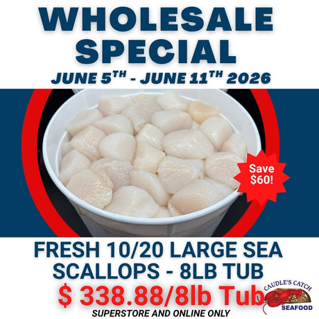 Wholesale Special: Fresh Large Sea Scallops 10/20ct (8lb Tub)