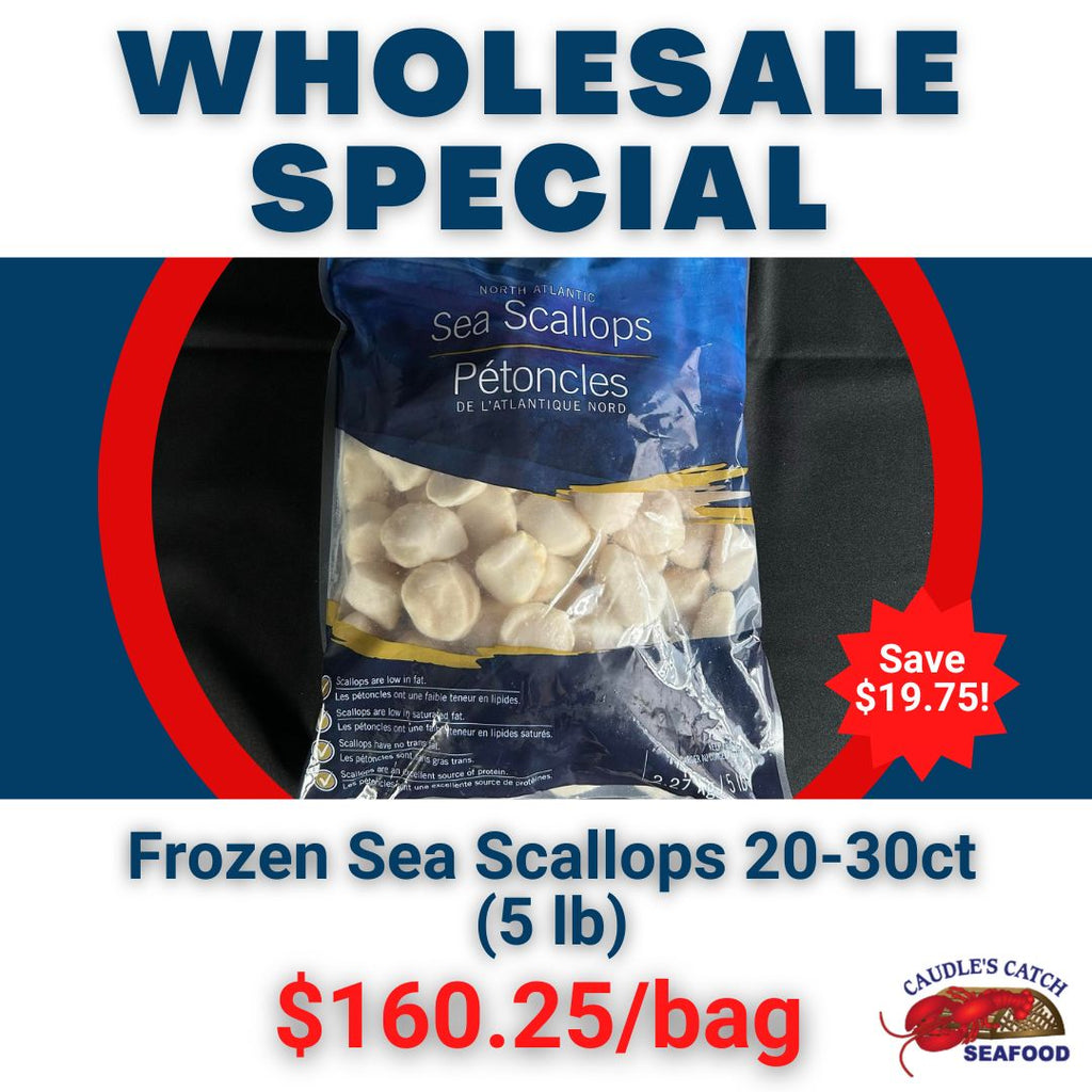 Wholesale Special: Frozen Sea Scallops 20-30ct (5 lb Bag)